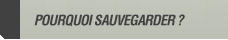 Pourquoi savegarder ?